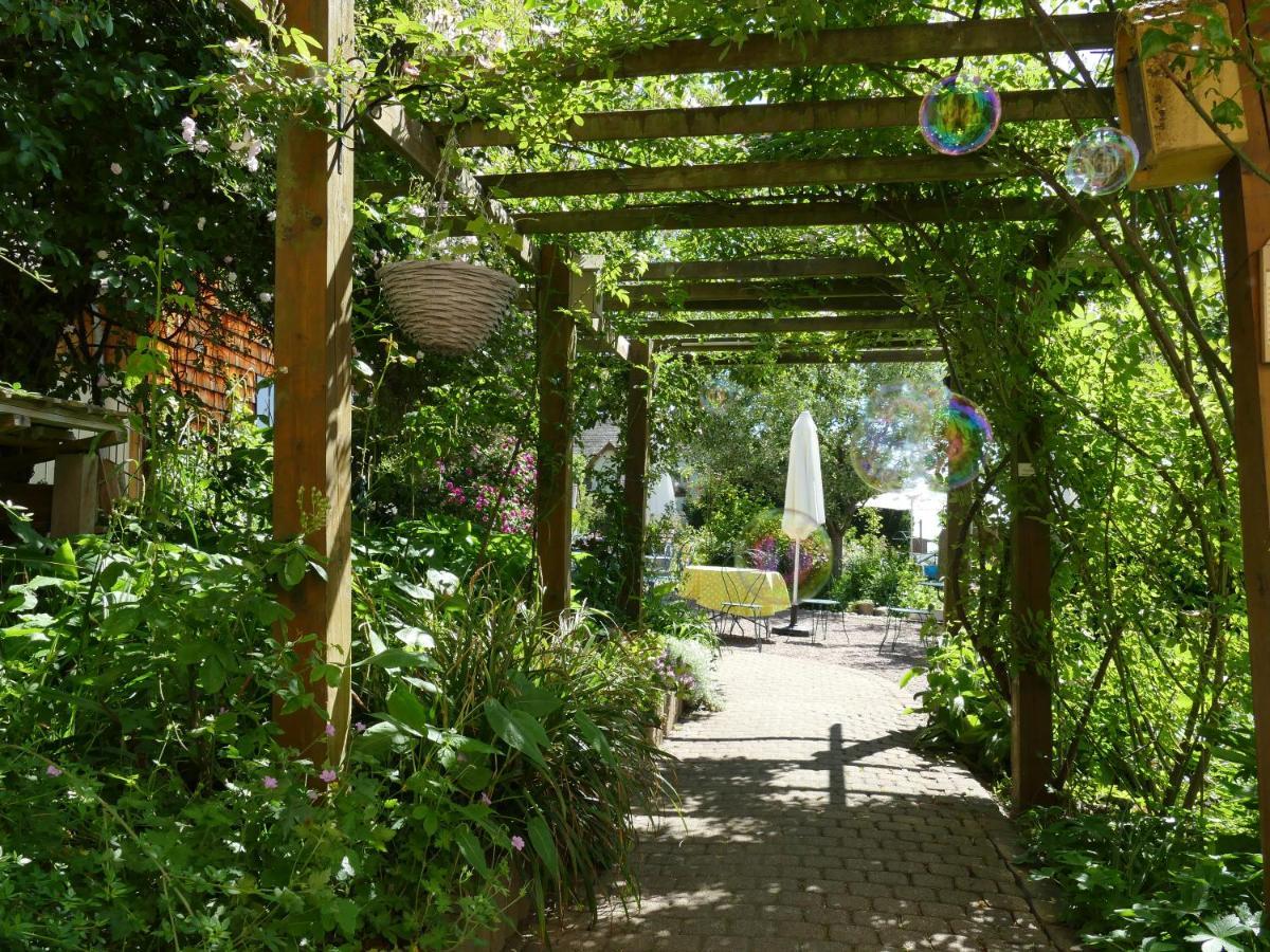 Villa Rosa Trois Epis Eksteriør bilde