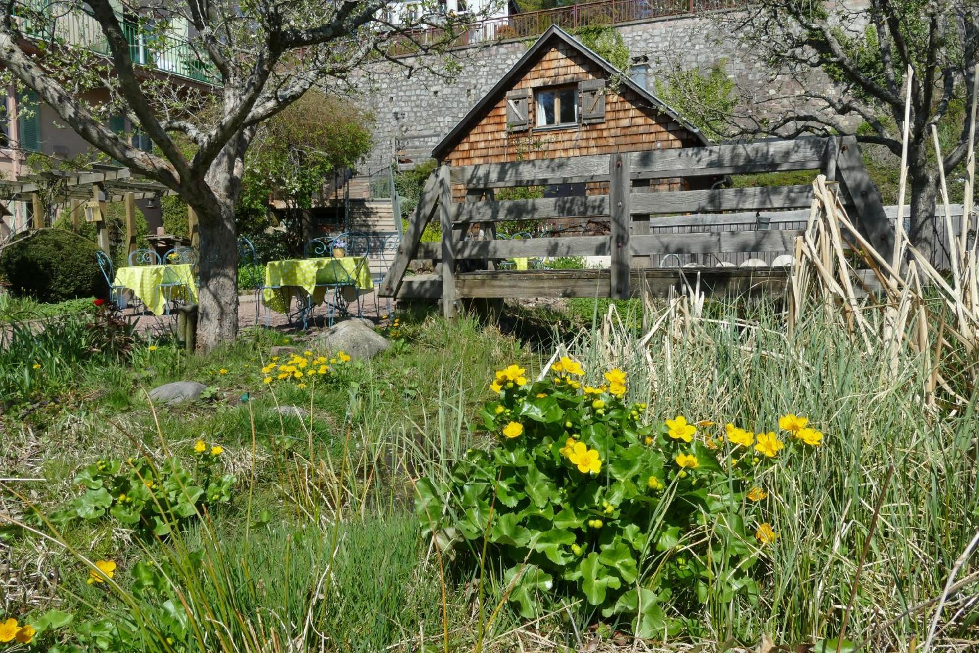 Villa Rosa Trois Epis Eksteriør bilde